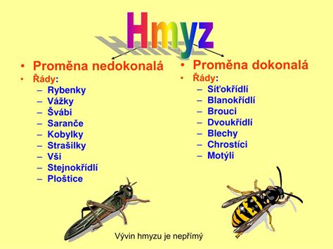 proměna dokonalá a nedokonalá rozdíl|Dokonalá a nedokonalá metamorfóza: vysvětlení,。